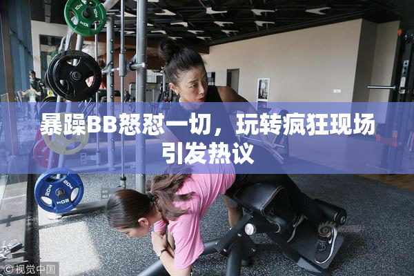 暴躁BB怒怼一切，玩转疯狂现场引发热议