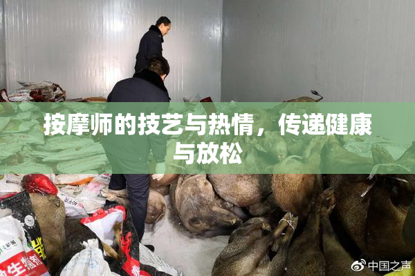 按摩师的技艺与热情，传递健康与放松