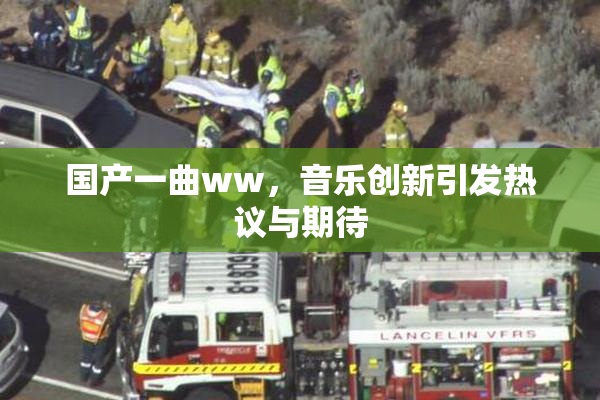 国产一曲ww，音乐创新引发热议与期待