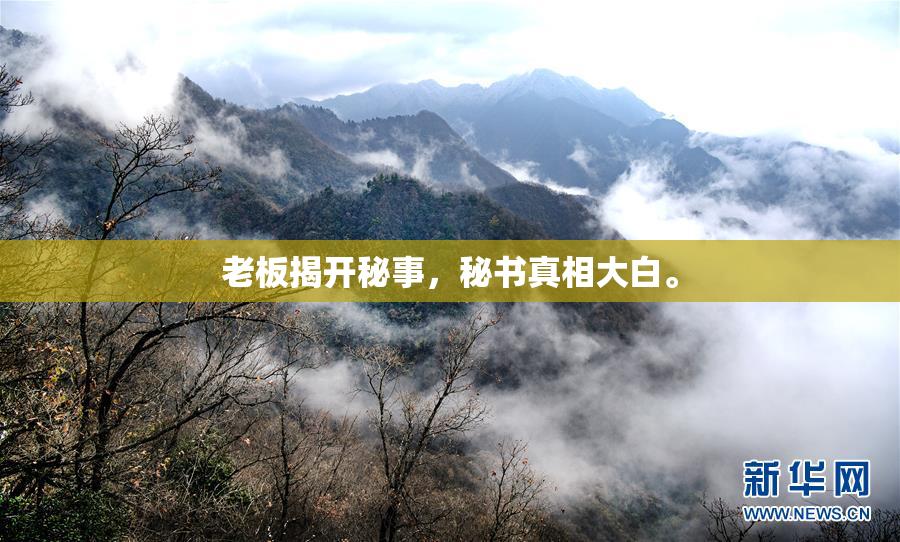 老板揭开秘事，秘书真相大白。