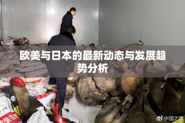 欧美与日本的最新动态与发展趋势分析