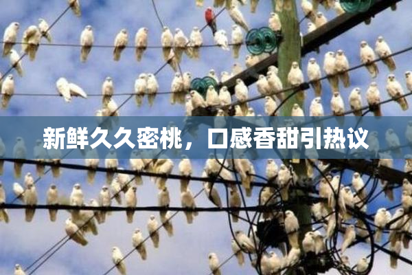 新鲜久久密桃，口感香甜引热议