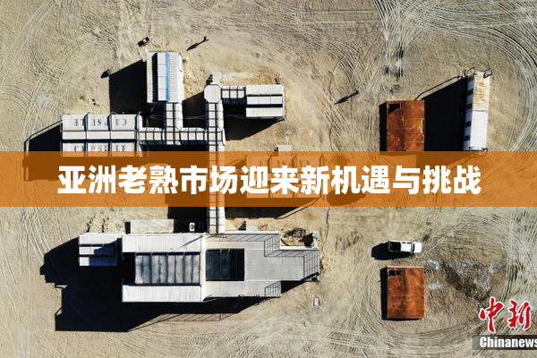 亚洲老熟市场迎来新机遇与挑战
