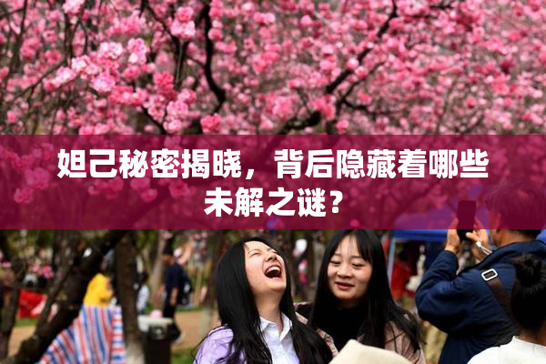 妲己秘密揭晓，背后隐藏着哪些未解之谜？