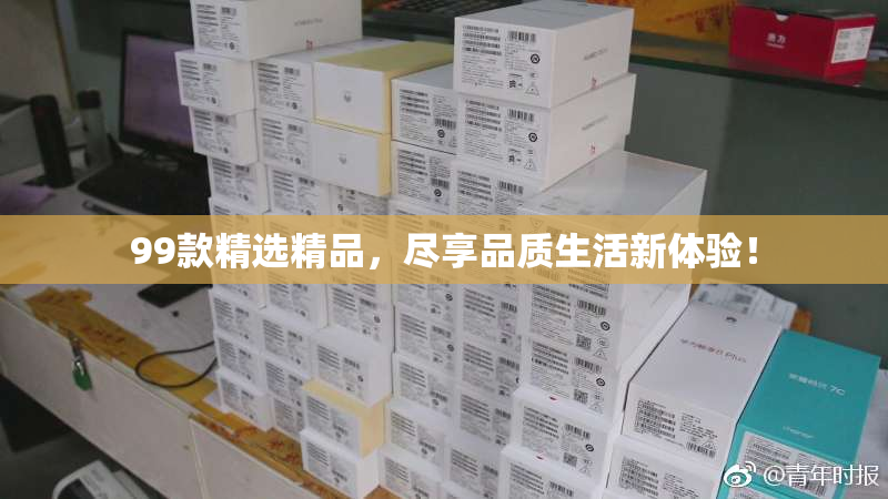 99款精选精品，尽享品质生活新体验！