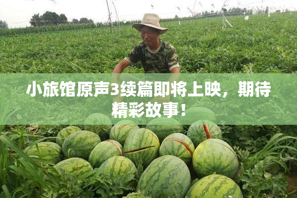 小旅馆原声3续篇即将上映，期待精彩故事！