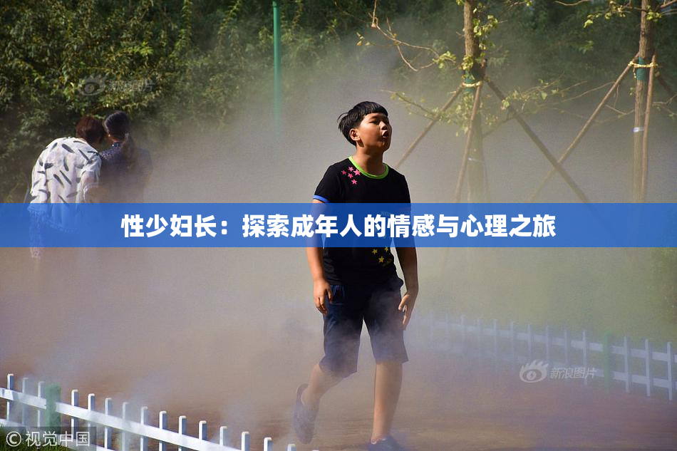 性少妇长：探索成年人的情感与心理之旅