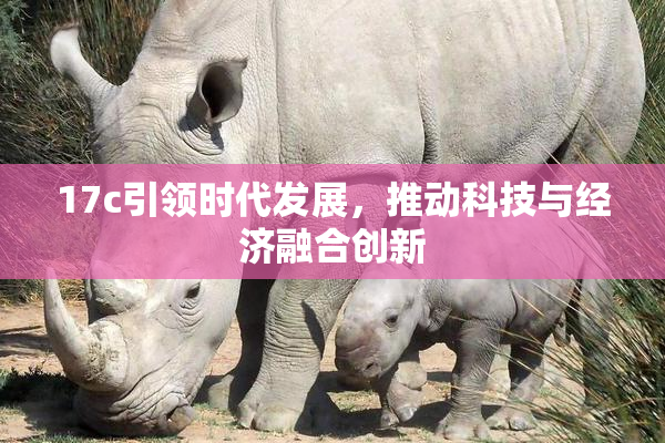 17c引领时代发展，推动科技与经济融合创新