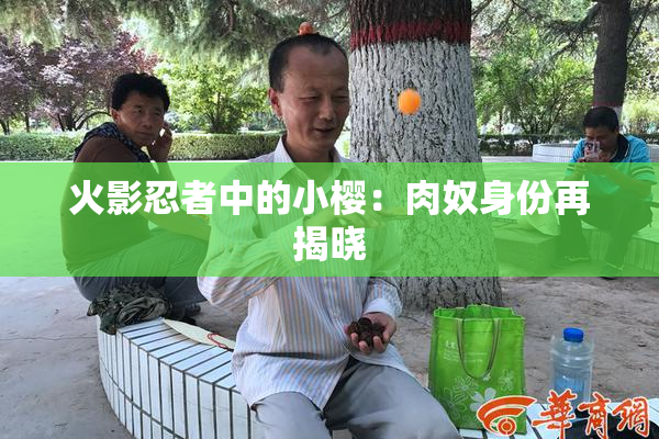 火影忍者中的小樱：肉奴身份再揭晓