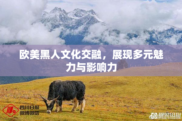 欧美黑人文化交融，展现多元魅力与影响力