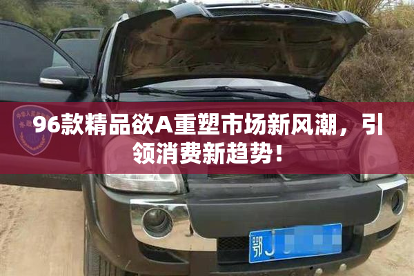 96款精品欲A重塑市场新风潮，引领消费新趋势！