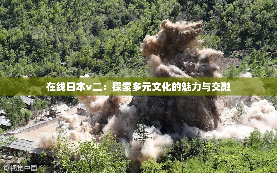 在线日本v二：探索多元文化的魅力与交融