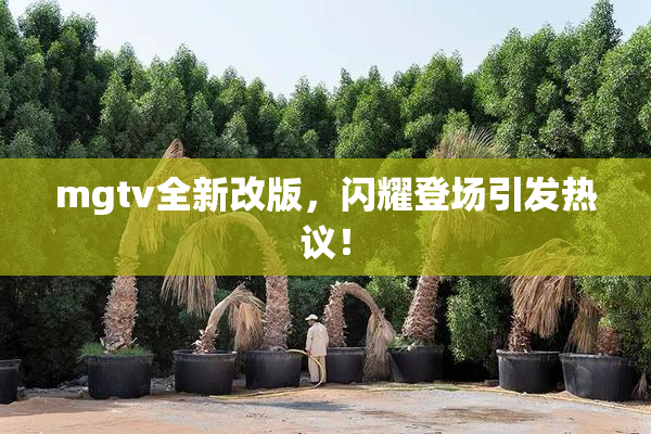mgtv全新改版，闪耀登场引发热议！