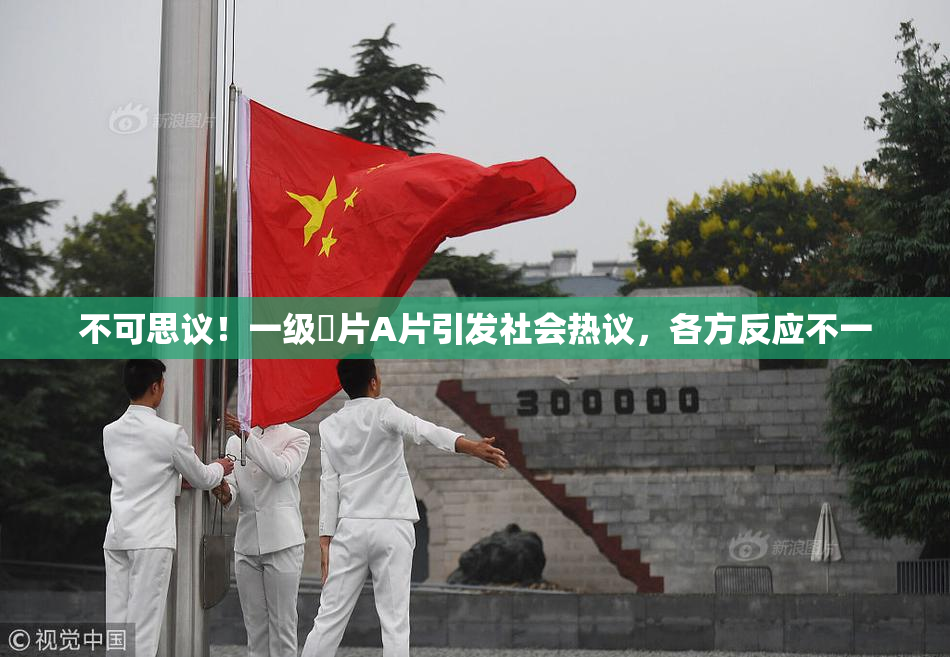 不可思议！一级婬片A片引发社会热议，各方反应不一