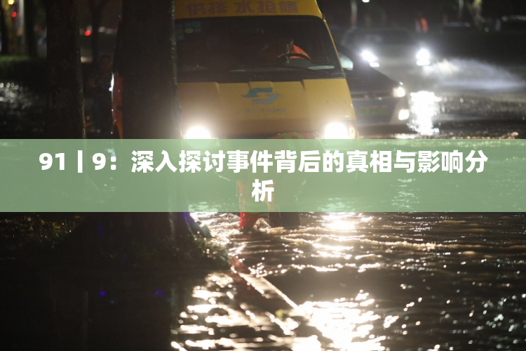 91丨9：深入探讨事件背后的真相与影响分析