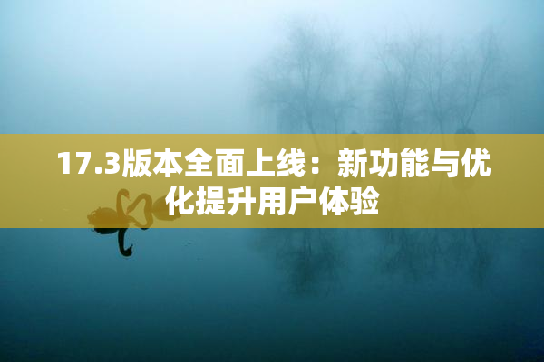17.3版本全面上线：新功能与优化提升用户体验