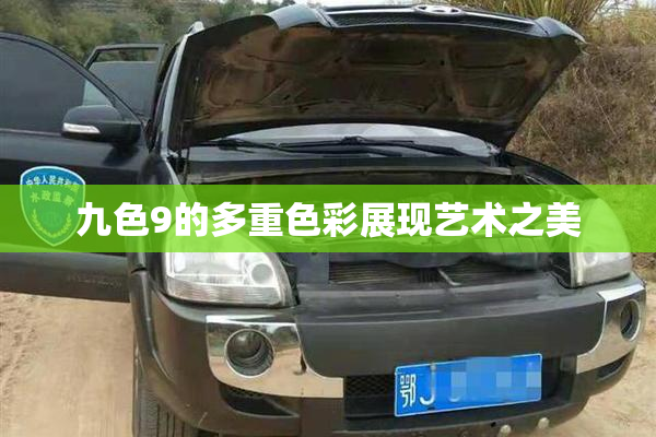 九色9的多重色彩展现艺术之美