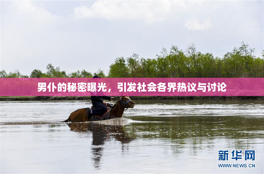 男仆的秘密曝光，引发社会各界热议与讨论