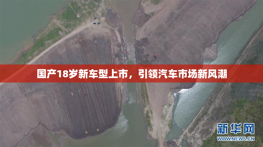 国产18岁新车型上市，引领汽车市场新风潮