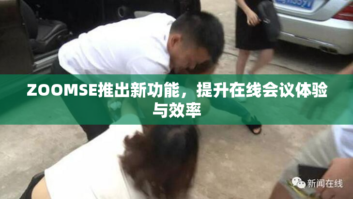 ZOOMSE推出新功能，提升在线会议体验与效率
