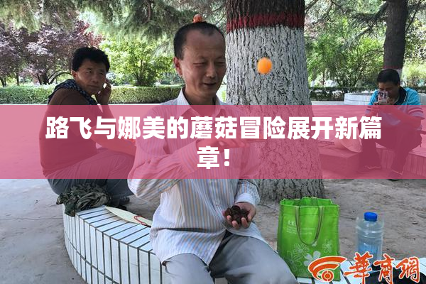 路飞与娜美的蘑菇冒险展开新篇章！