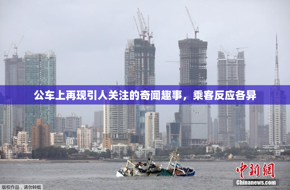 公车上再现引人关注的奇闻趣事，乘客反应各异