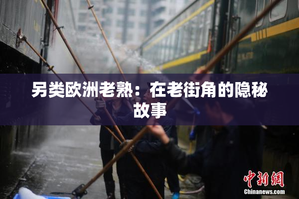 另类欧洲老熟：在老街角的隐秘故事