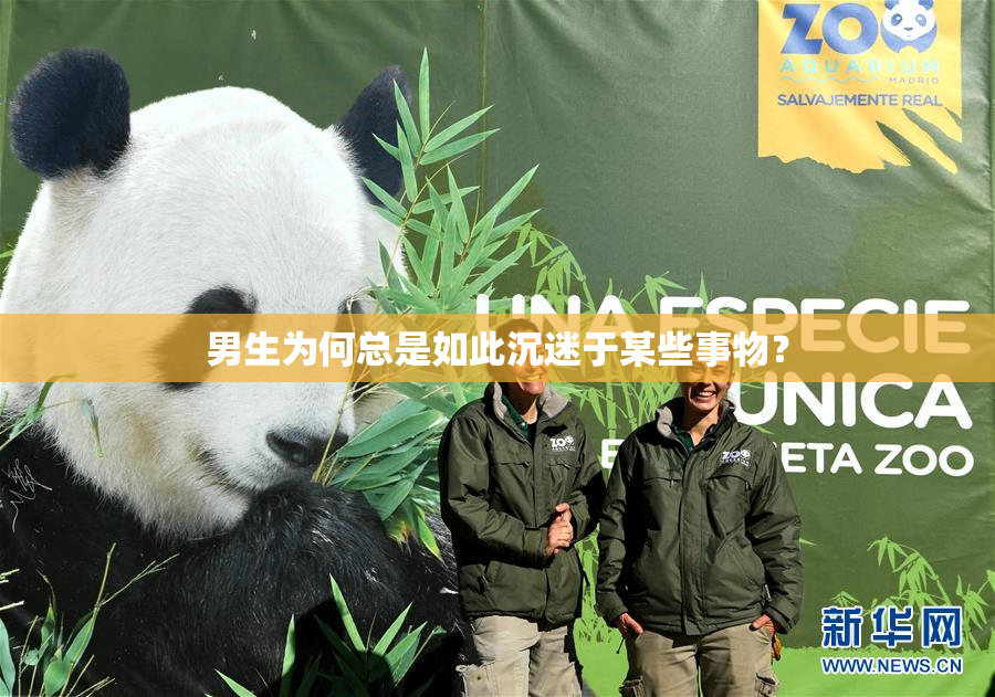 男生为何总是如此沉迷于某些事物？