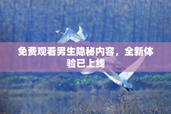 免费观看男生隐秘内容，全新体验已上线