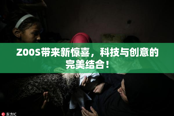 Z00S带来新惊喜，科技与创意的完美结合！