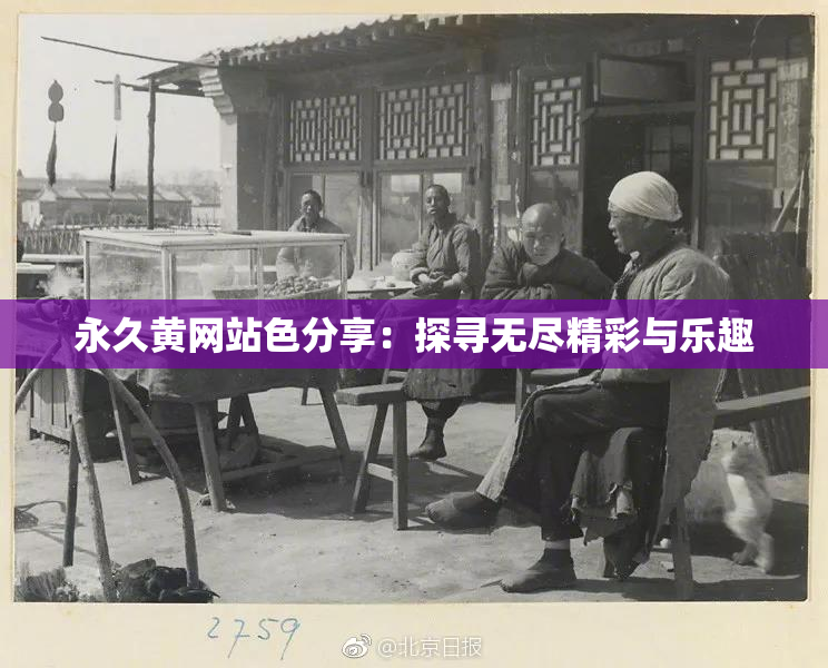 永久黄网站色分享：探寻无尽精彩与乐趣