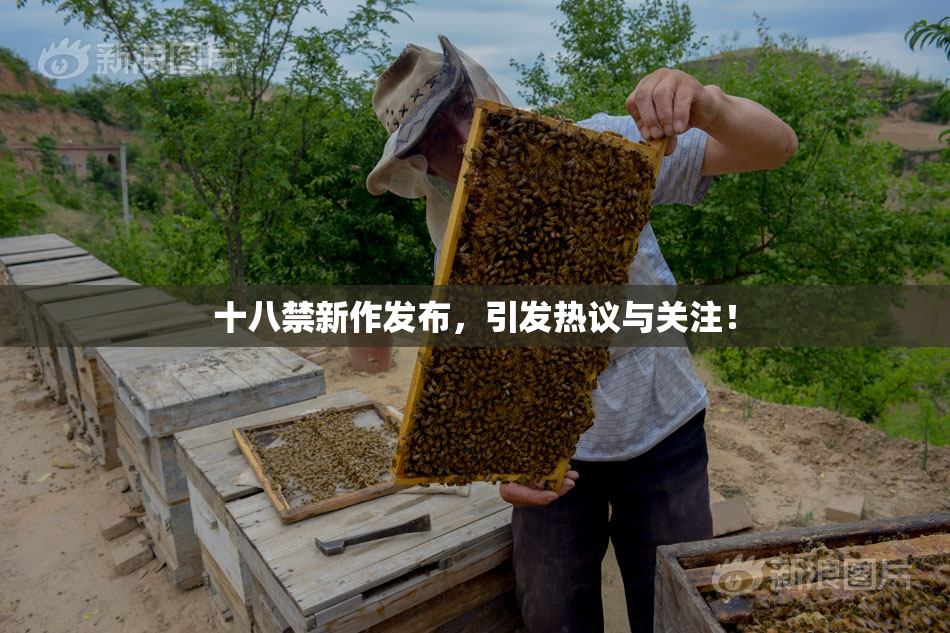 十八禁新作发布，引发热议与关注！