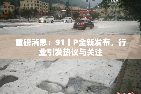 重磅消息：91丨P全新发布，行业引发热议与关注