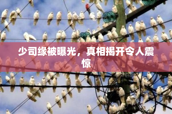 少司缘被曝光，真相揭开令人震惊