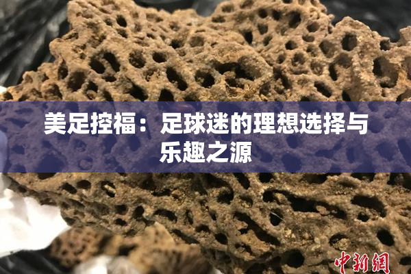 美足控福：足球迷的理想选择与乐趣之源