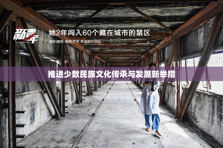 推进少数民族文化传承与发展新举措