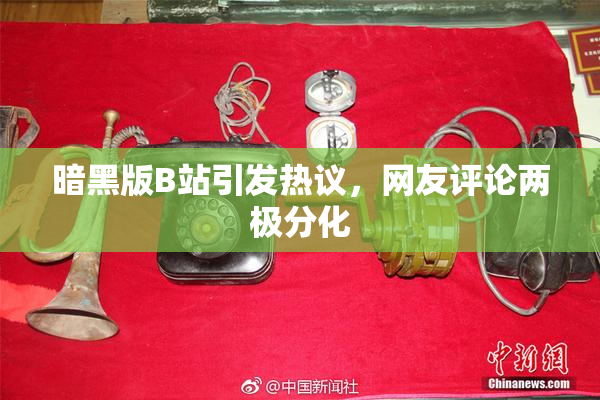 暗黑版B站引发热议，网友评论两极分化