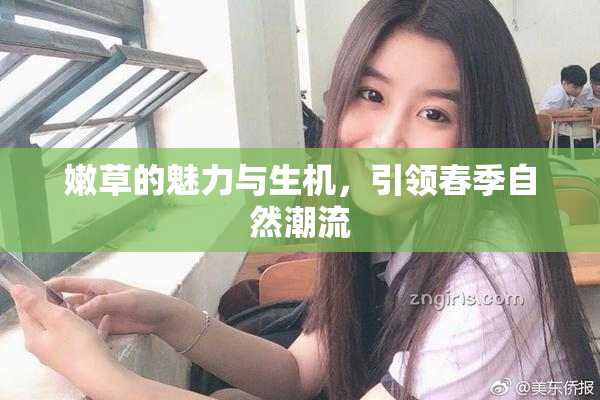 嫩草的魅力与生机，引领春季自然潮流