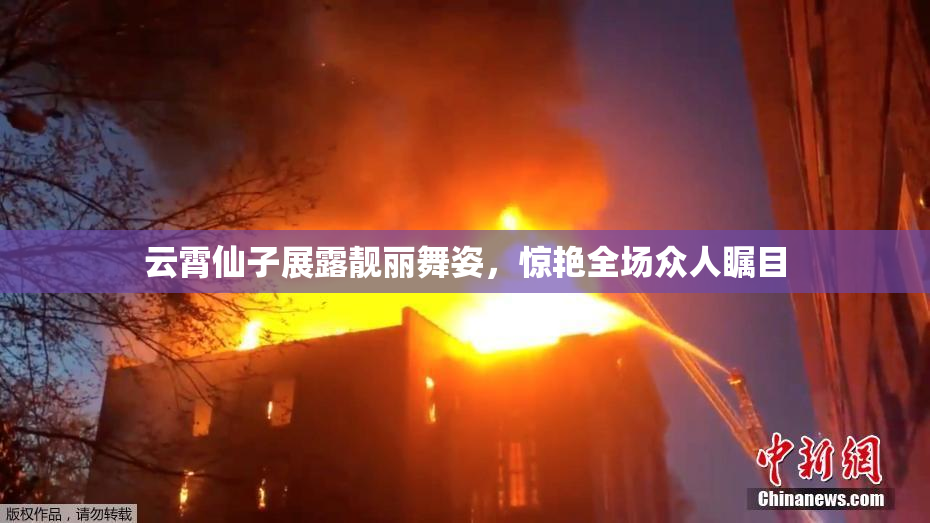 云霄仙子展露靓丽舞姿，惊艳全场众人瞩目