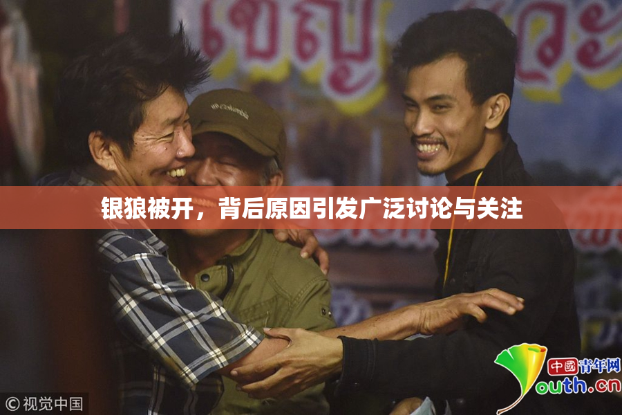 银狼被开，背后原因引发广泛讨论与关注