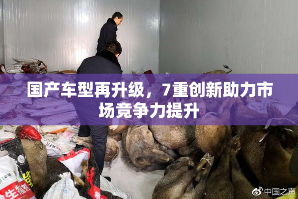 国产车型再升级，7重创新助力市场竞争力提升