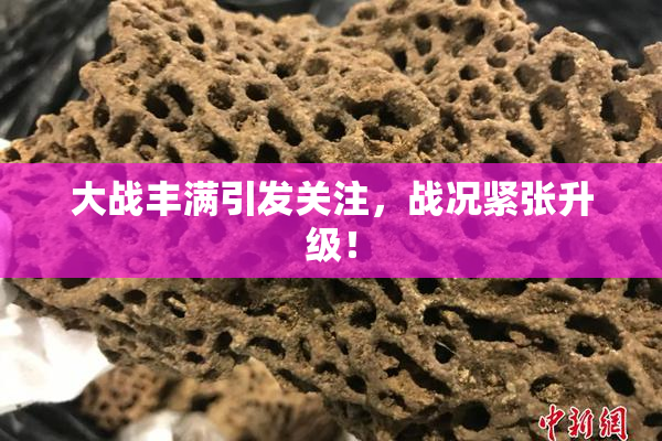 大战丰满引发关注，战况紧张升级！