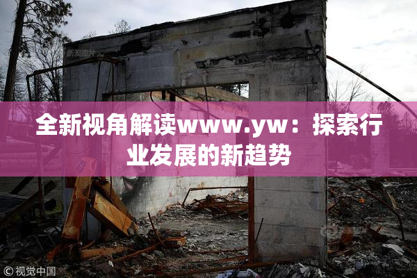 全新视角解读www.yw：探索行业发展的新趋势