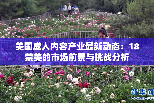 美国成人内容产业最新动态：18禁美的市场前景与挑战分析