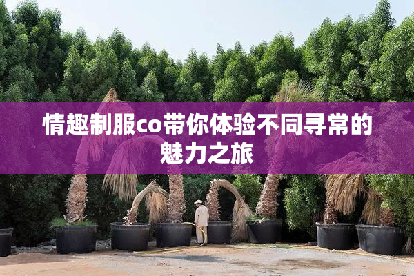 情趣制服co带你体验不同寻常的魅力之旅