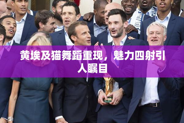 黄埃及猫舞蹈重现，魅力四射引人瞩目