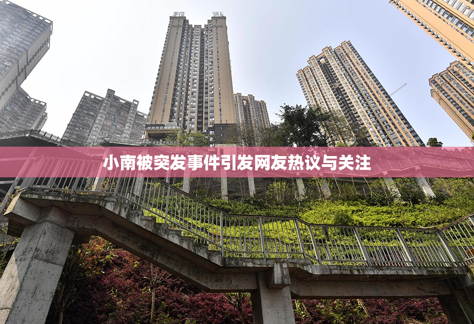 小南被突发事件引发网友热议与关注