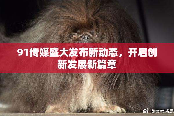91传媒盛大发布新动态，开启创新发展新篇章