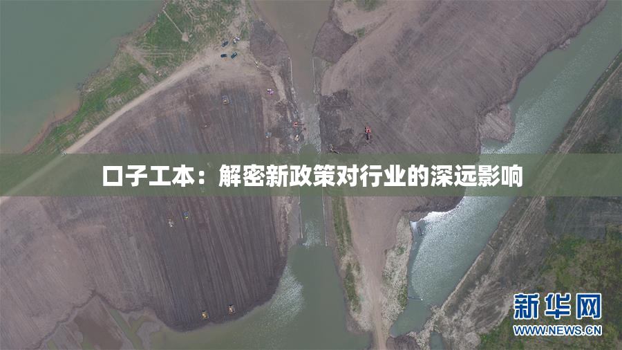 口子工本：解密新政策对行业的深远影响
