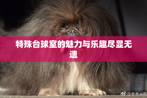 特殊台球室的魅力与乐趣尽显无遗
